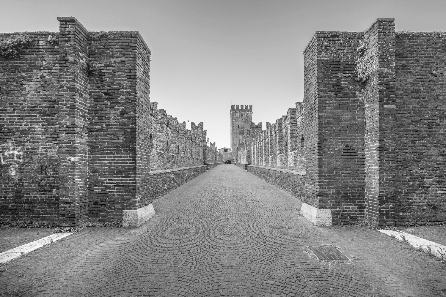 (0401) Verona Renova #0053