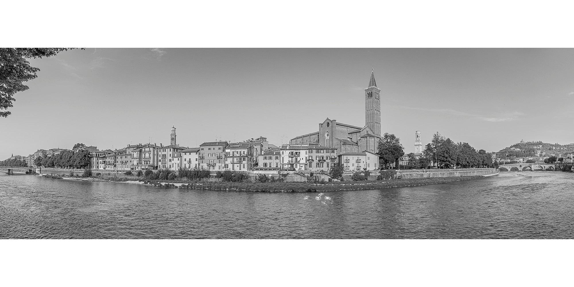 (0407) Verona Renova #0509