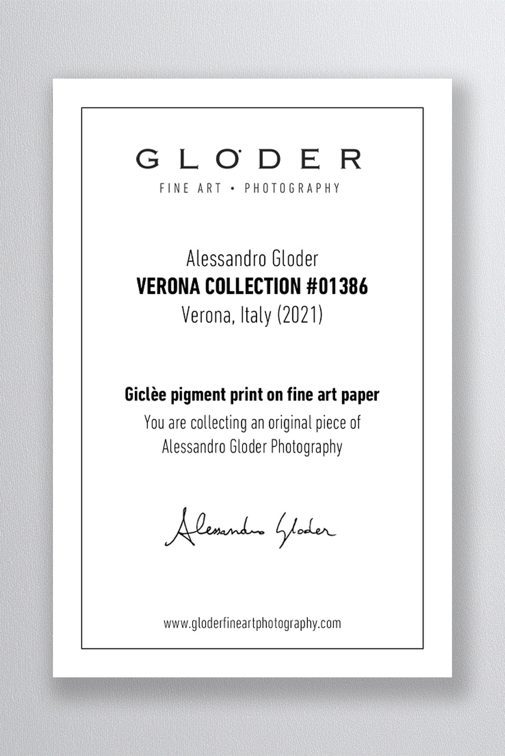 (0020) Verona Collection #06344