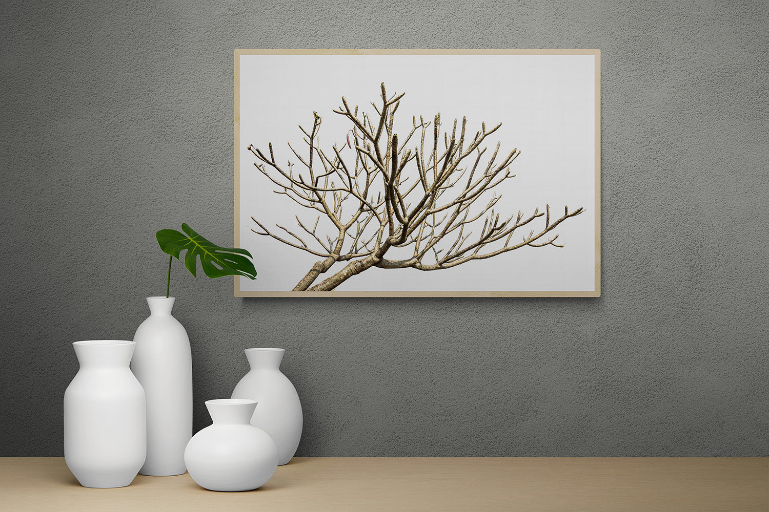 (2013) Bonsai #12