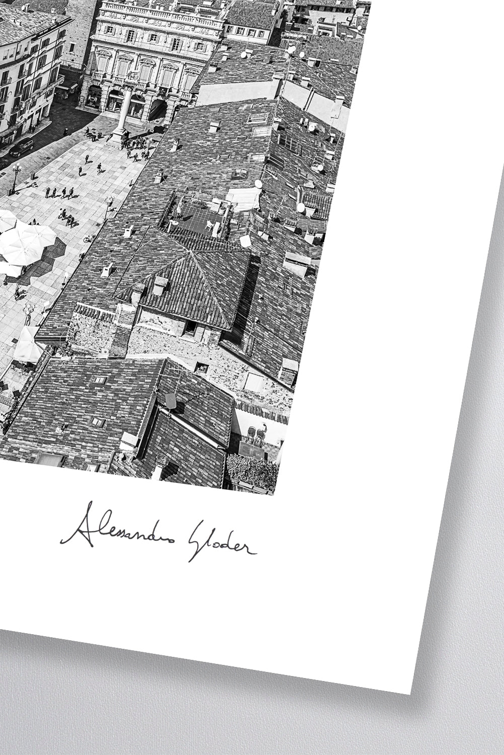 (0063) Verona Collection #00891