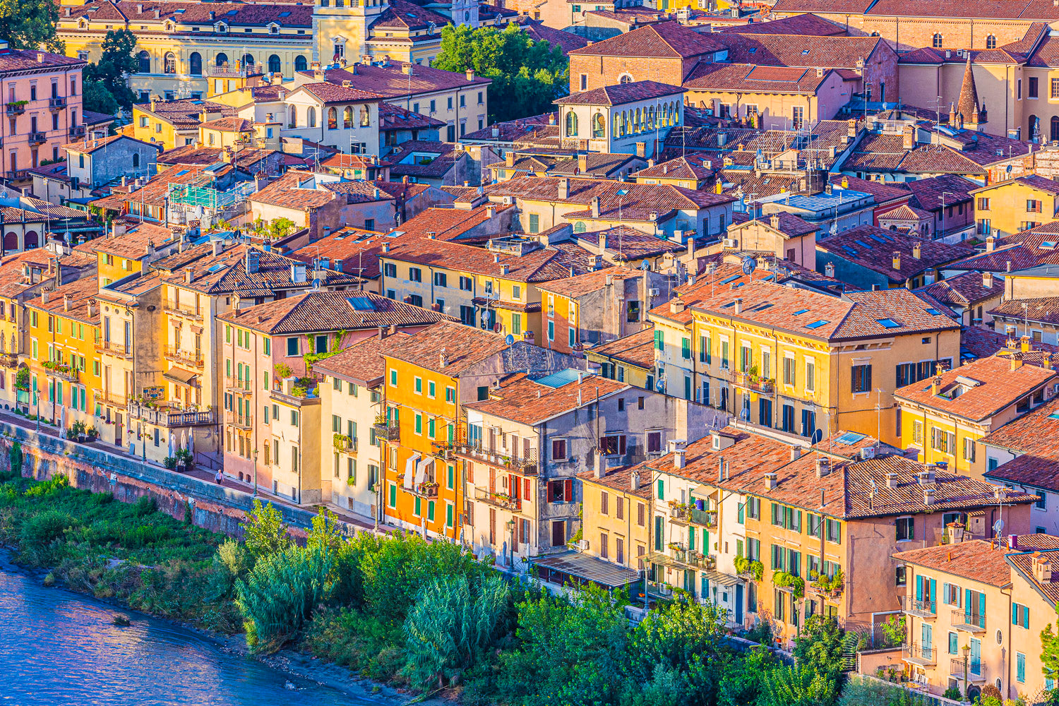 (0025) Verona Collection #04091