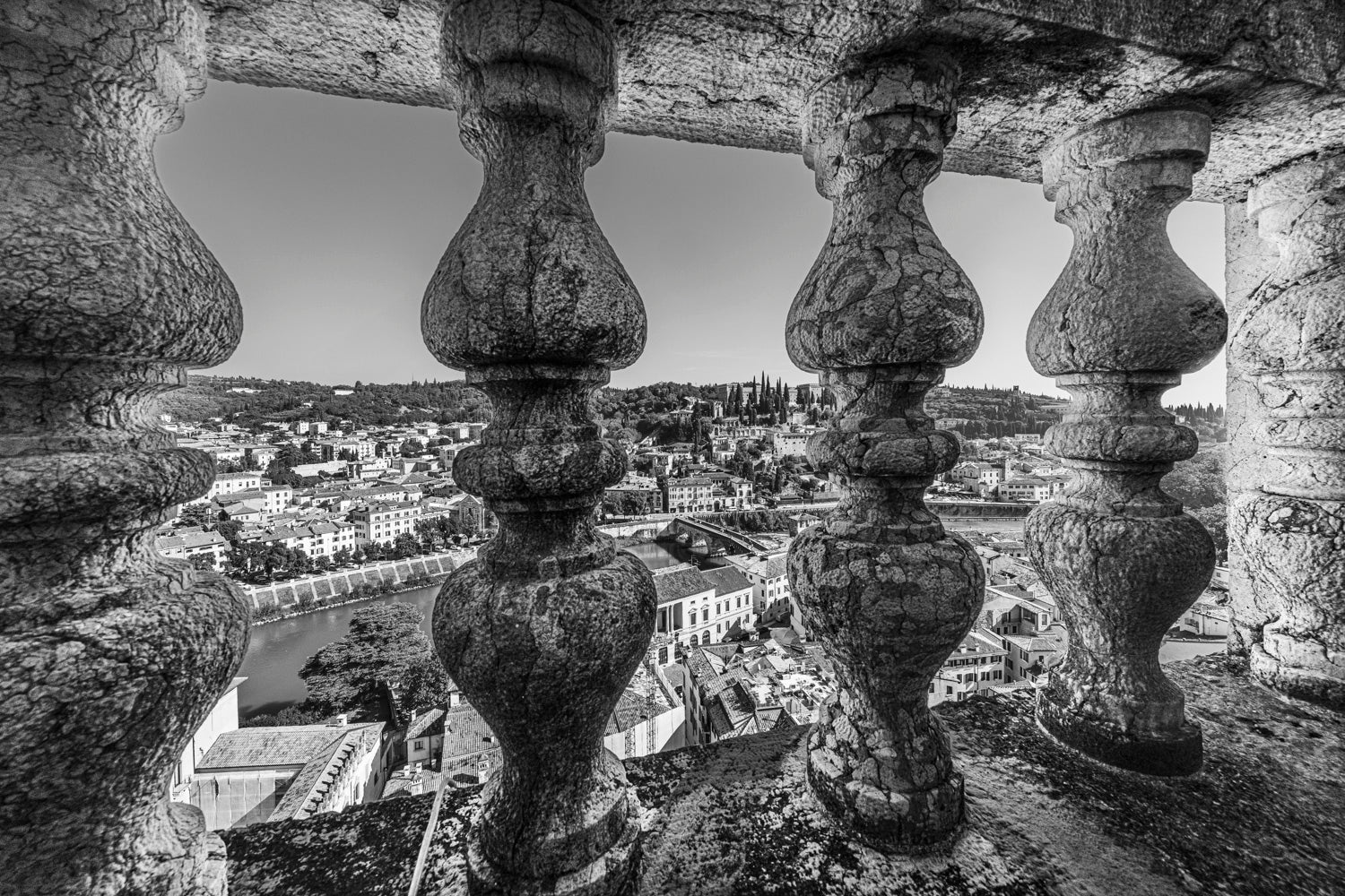 (0077) Verona Collection #09345