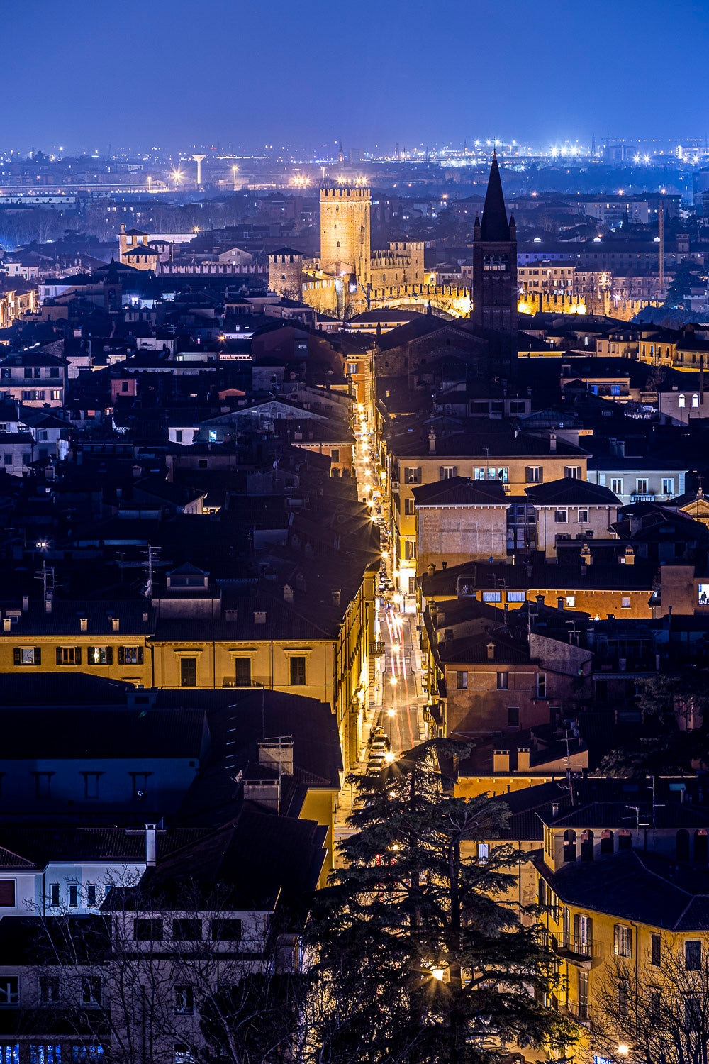 (0035) Verona Collection #01556