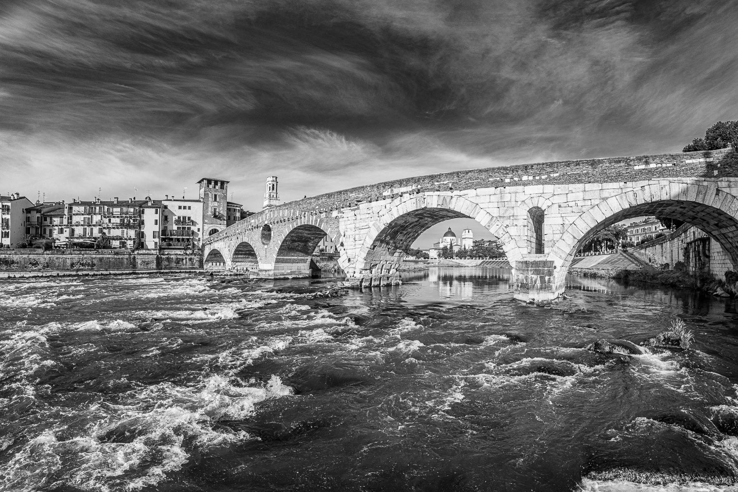 (0071) Verona Collection #02676