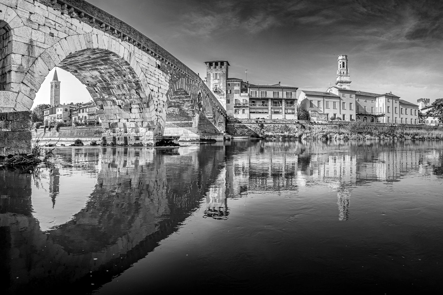 (0067) Verona Collection #02913