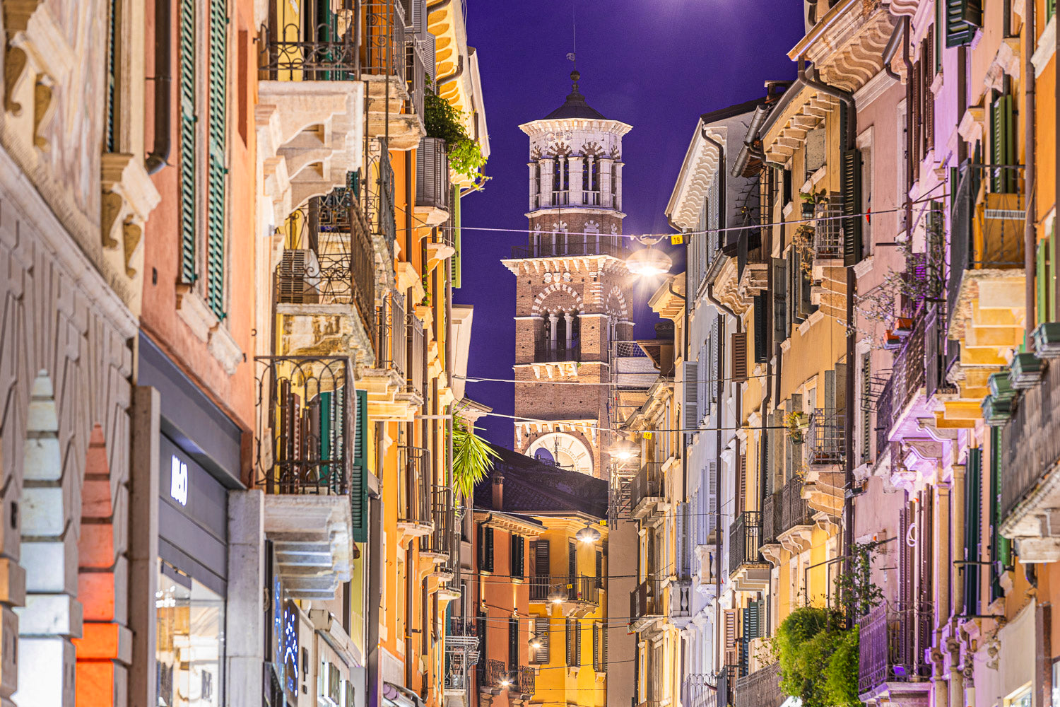 (0015) Verona Collection #04865