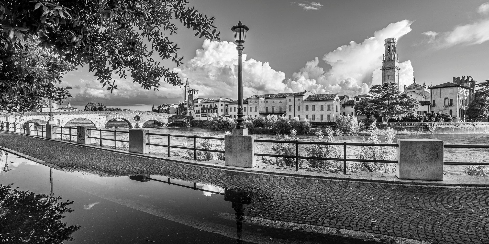 (0066) Verona Collection #05039-Pano