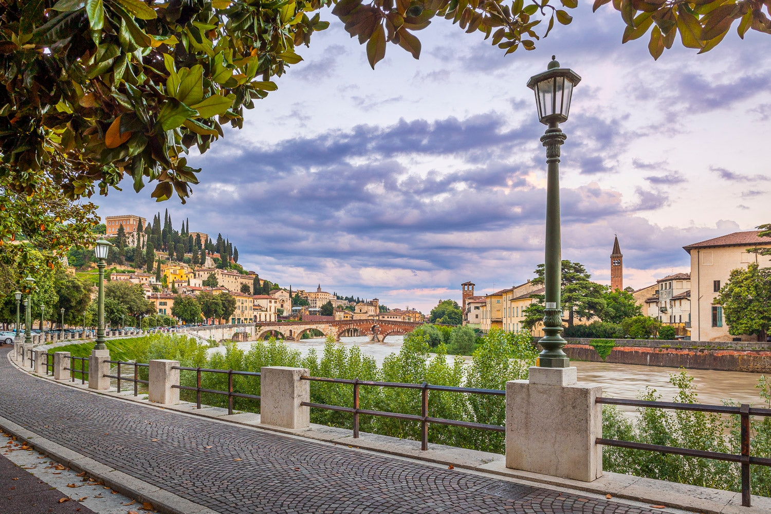 (0053) Verona Collection #05239