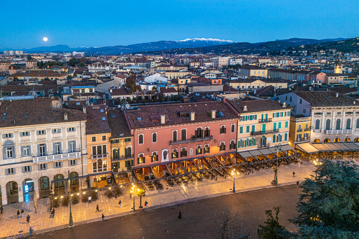 (0041) Verona Collection #06423